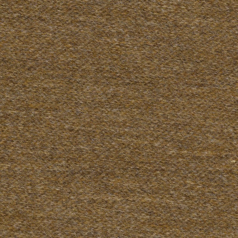 00003