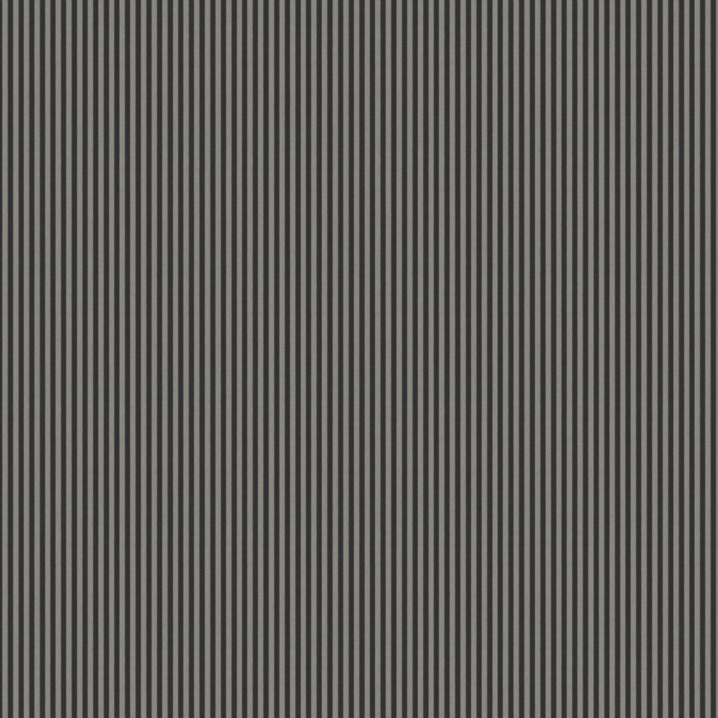 79