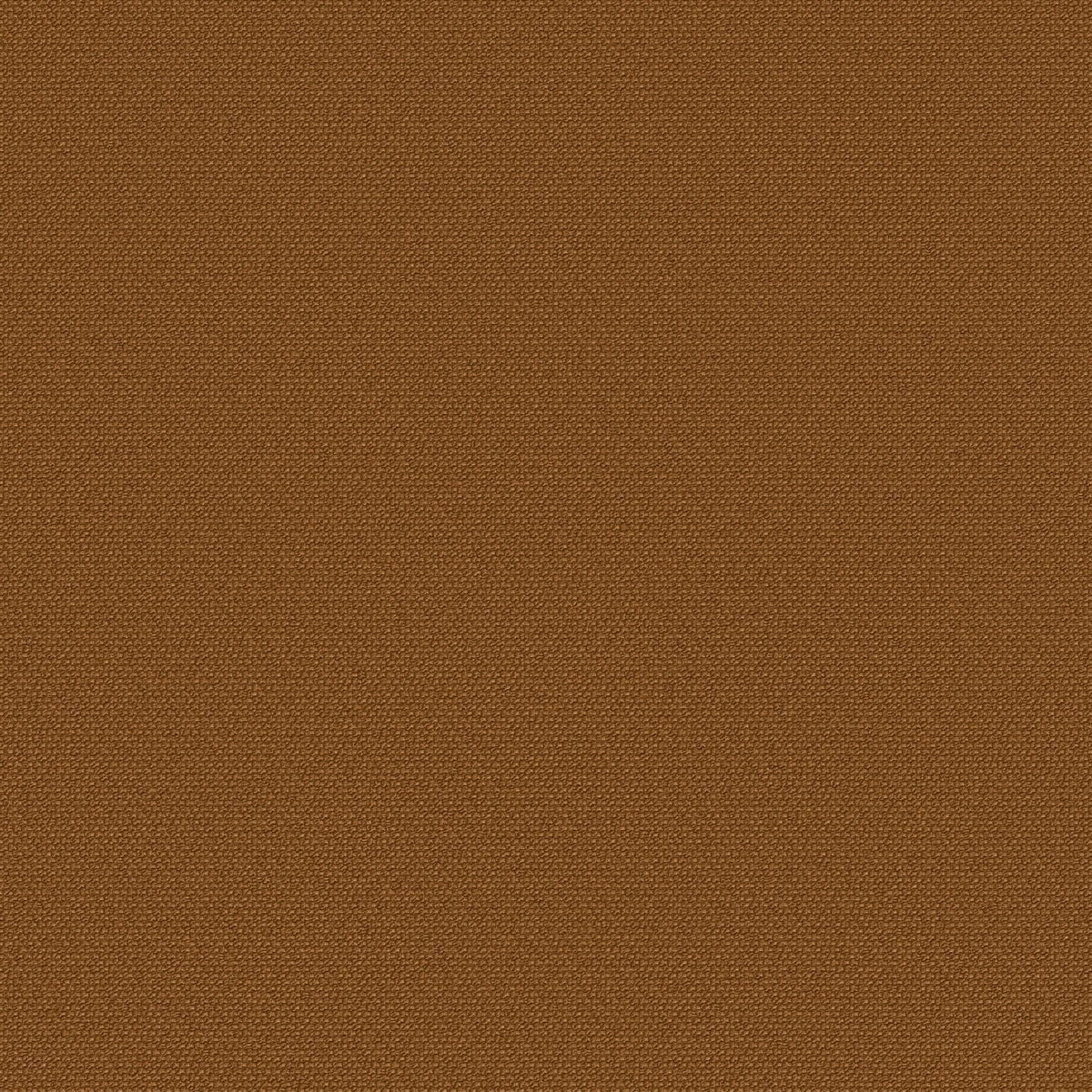 Anise