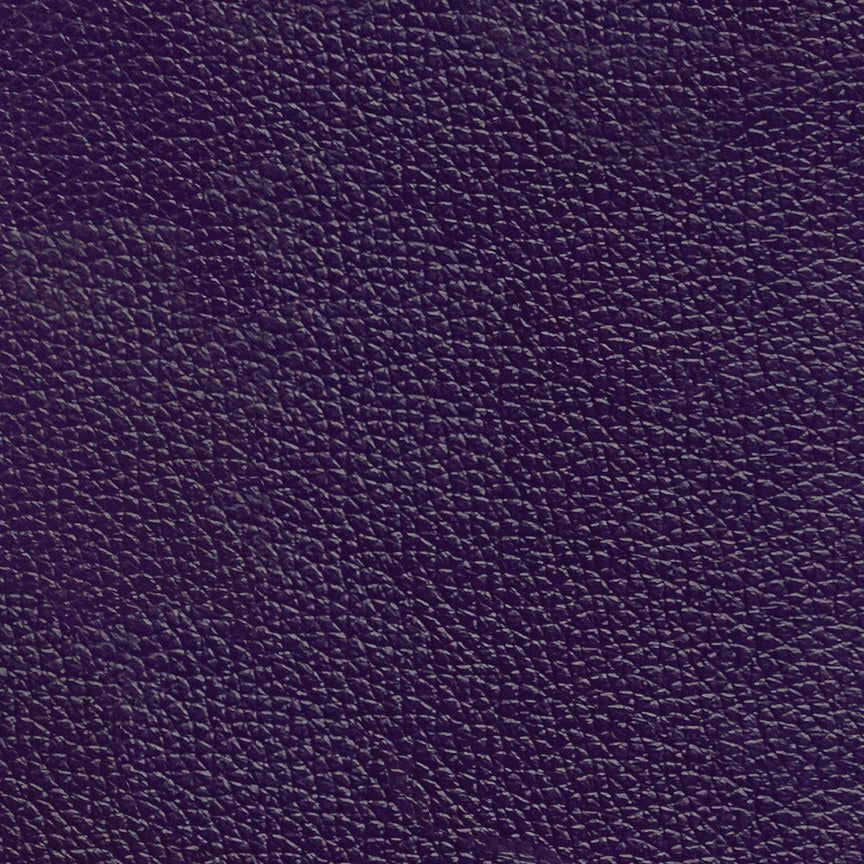 Aubergine