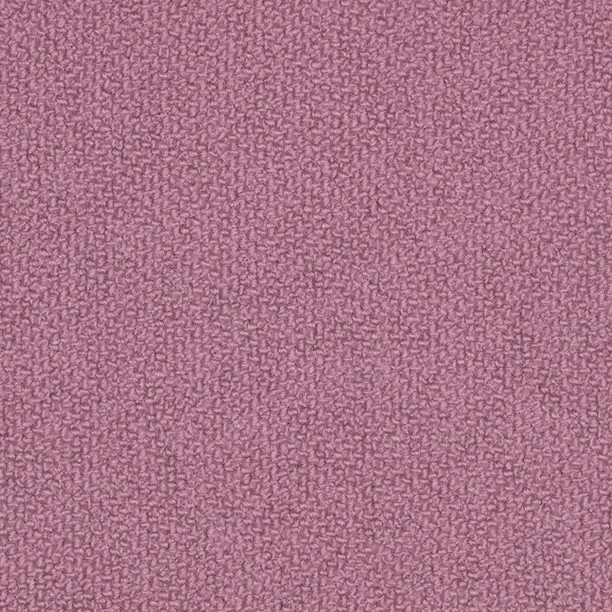 Brunnera