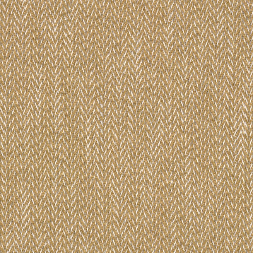 Butternut