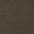 CA 1257 Sage