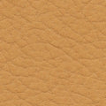 DV 0112 Brandy