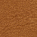 LC 2404 Fanciulla
