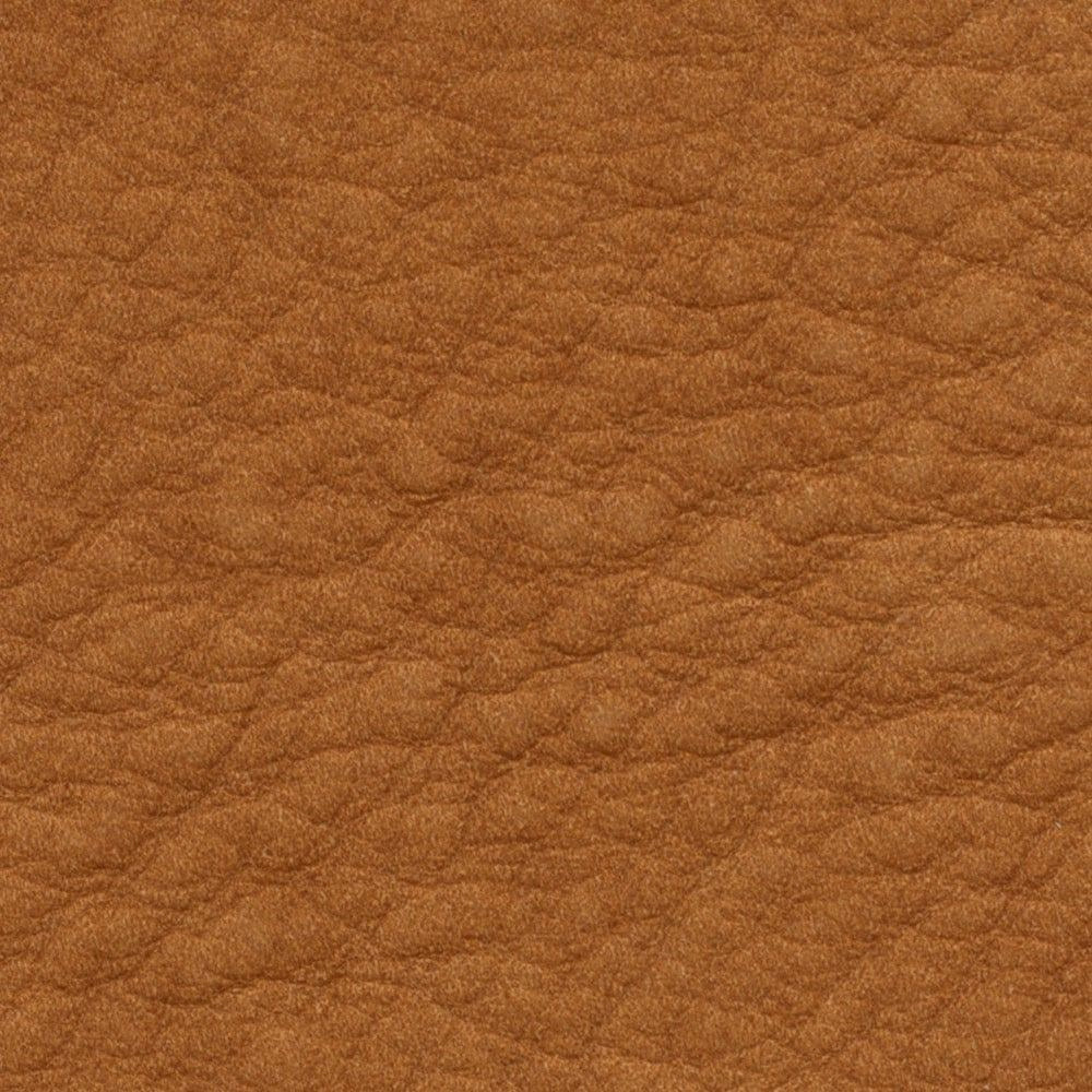 LC 2404 Fanciulla