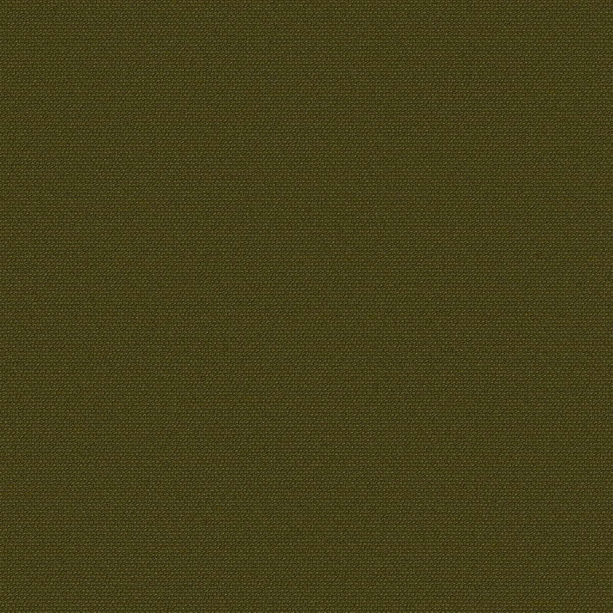 Longleaf
