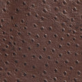 Mocha