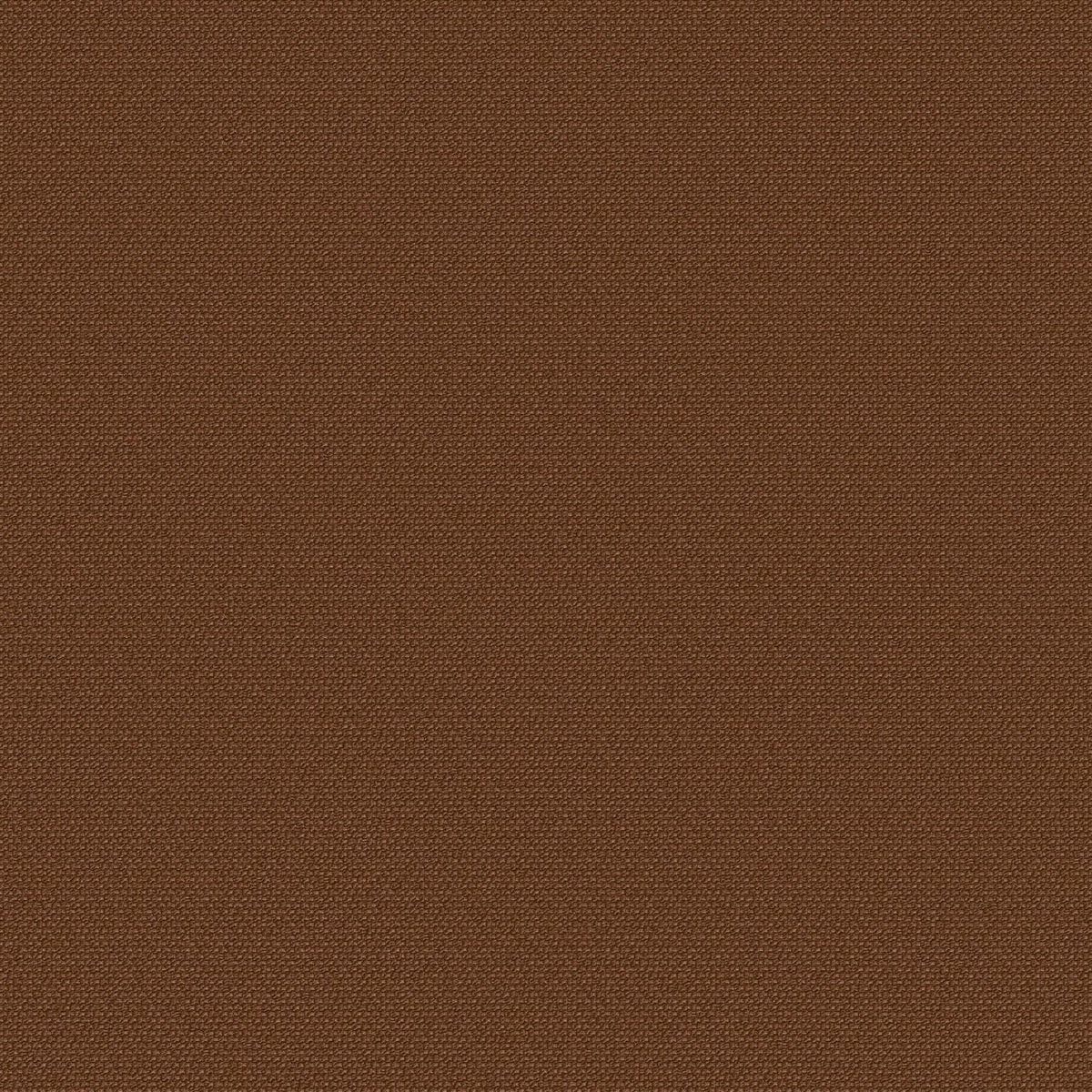 Molasses