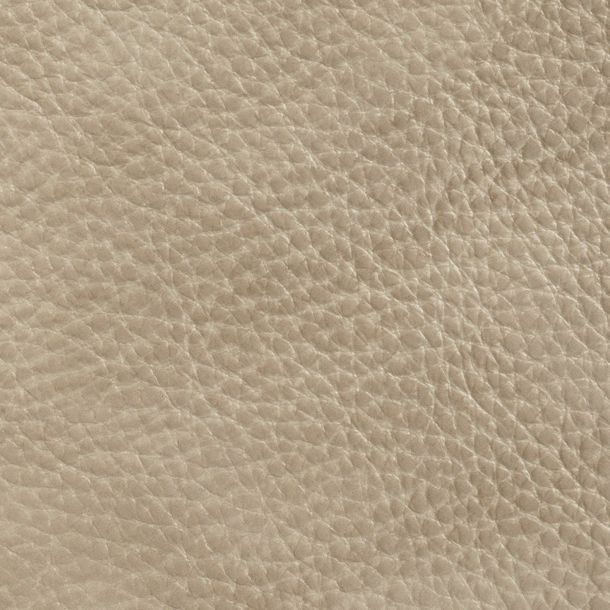 Sahara