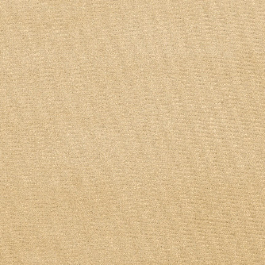 Scribe