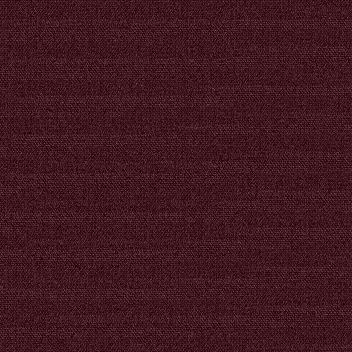 Shiraz