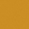Tinted Gold