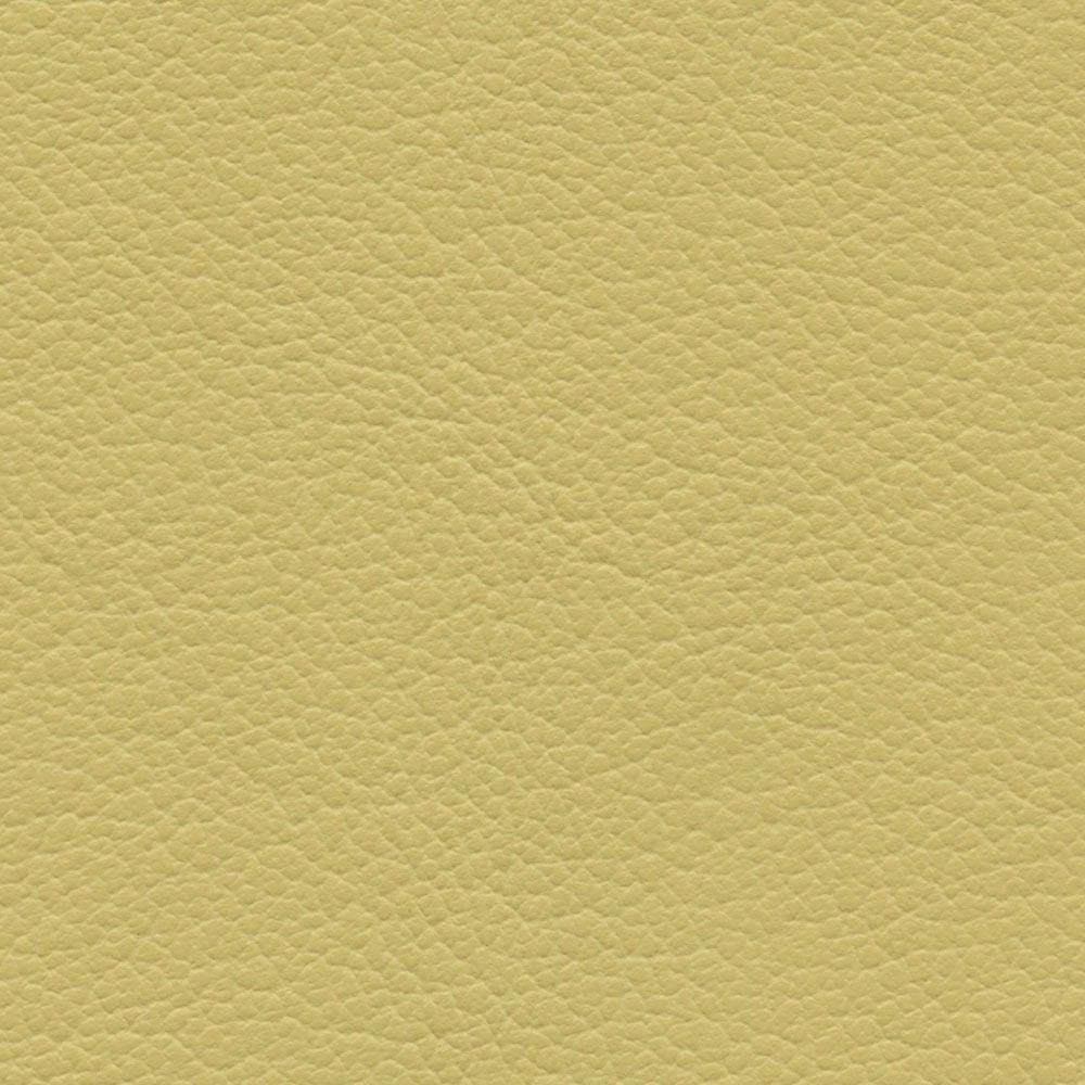 VP 0519 Lemonade