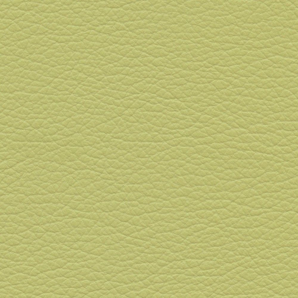 VP 0520 Persian Lime