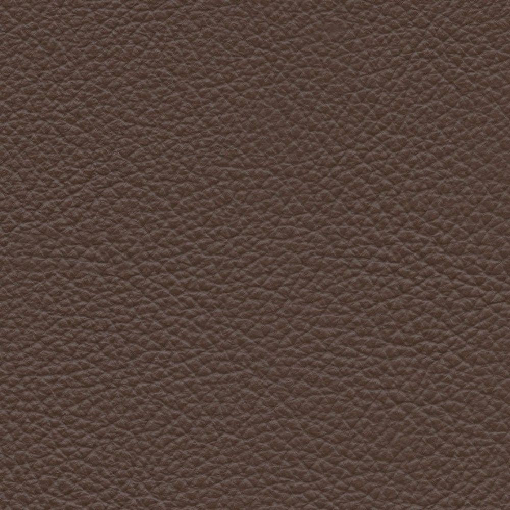 VP 0527 Walrus