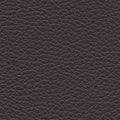 VP 0529 Black Canyon