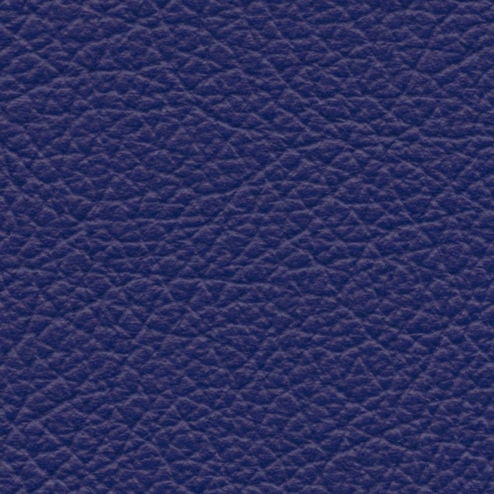 VP 0549 Dolphin