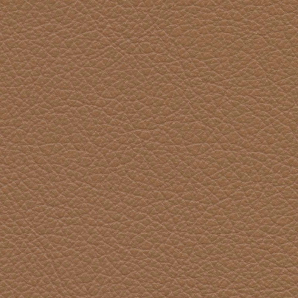 VP 0558 Butternut