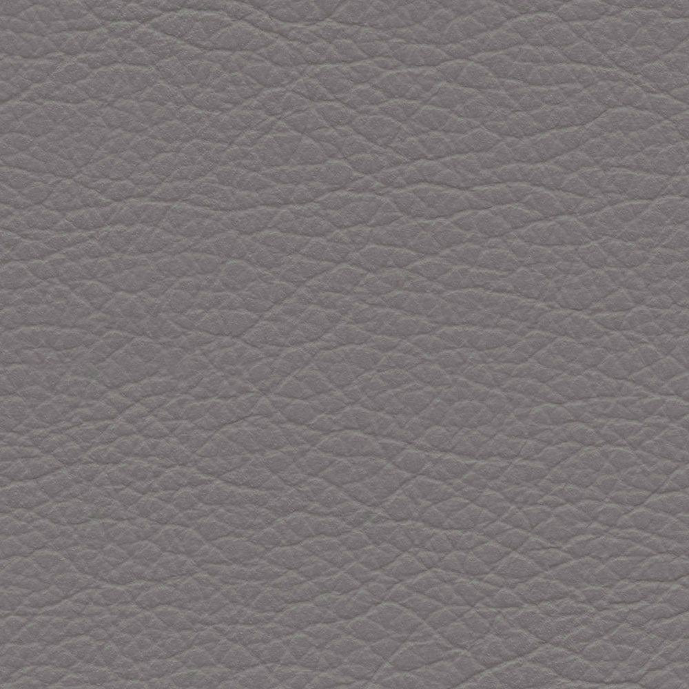 VP 0559 Gull