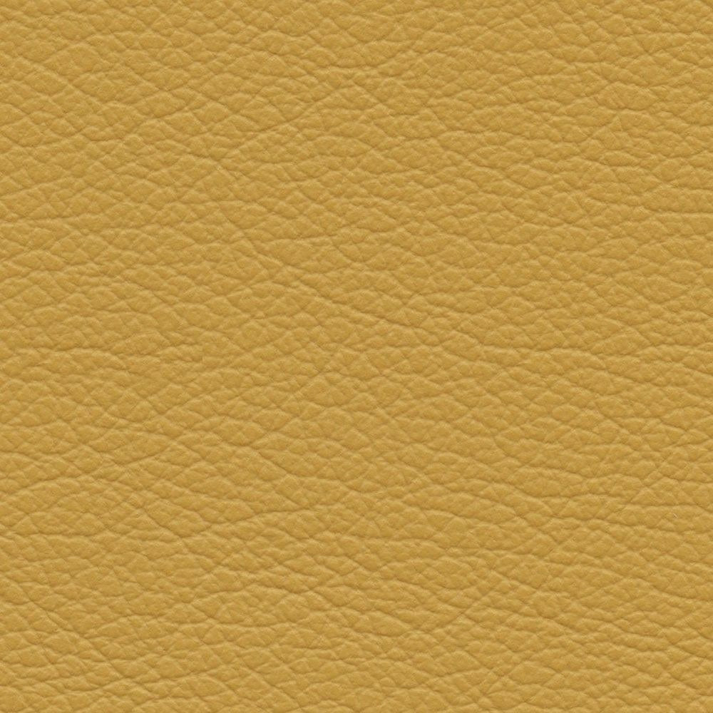 VP 0563 Yolk