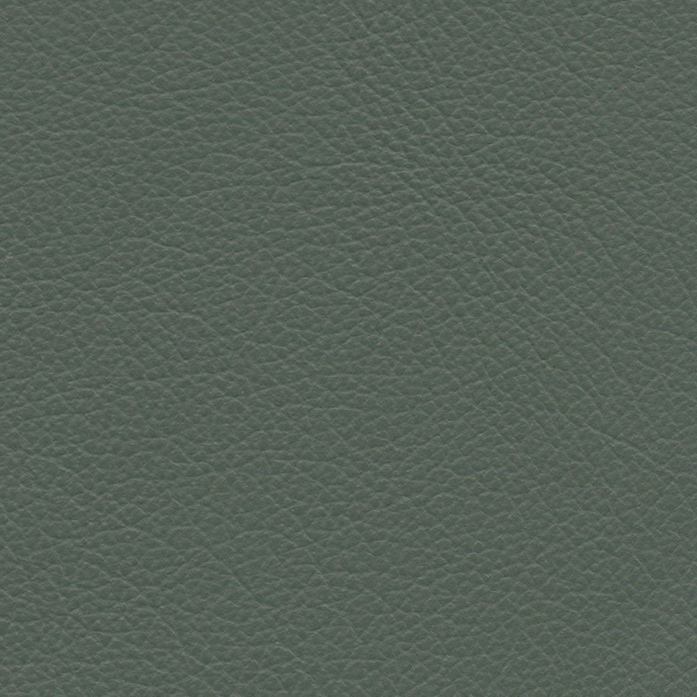 VP 0569 Bayleaf