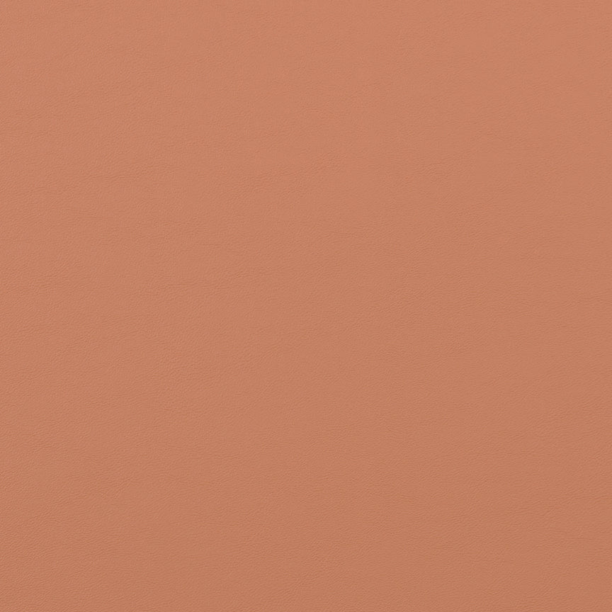 Desert