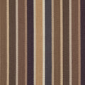 Multicolored Neutral