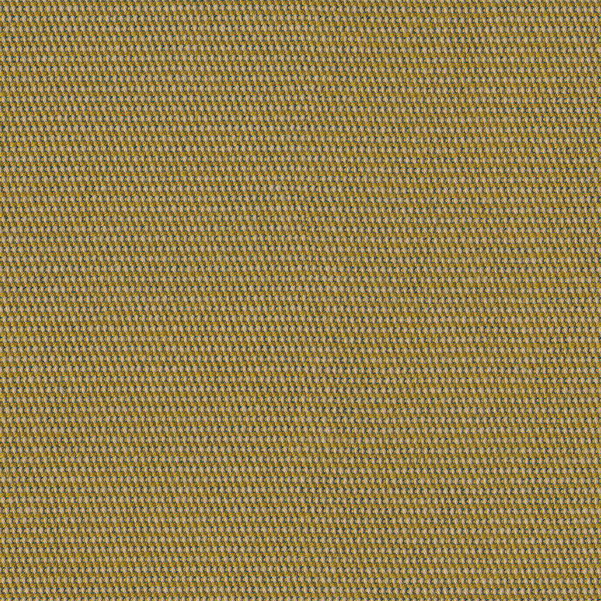 Plains