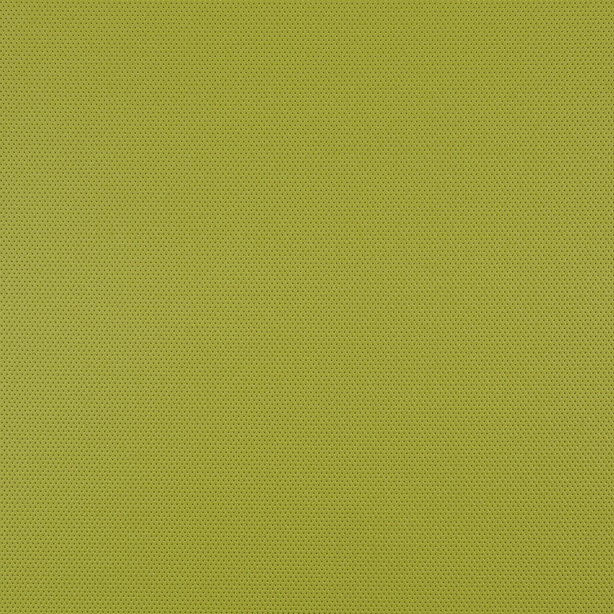 Tomatillo
