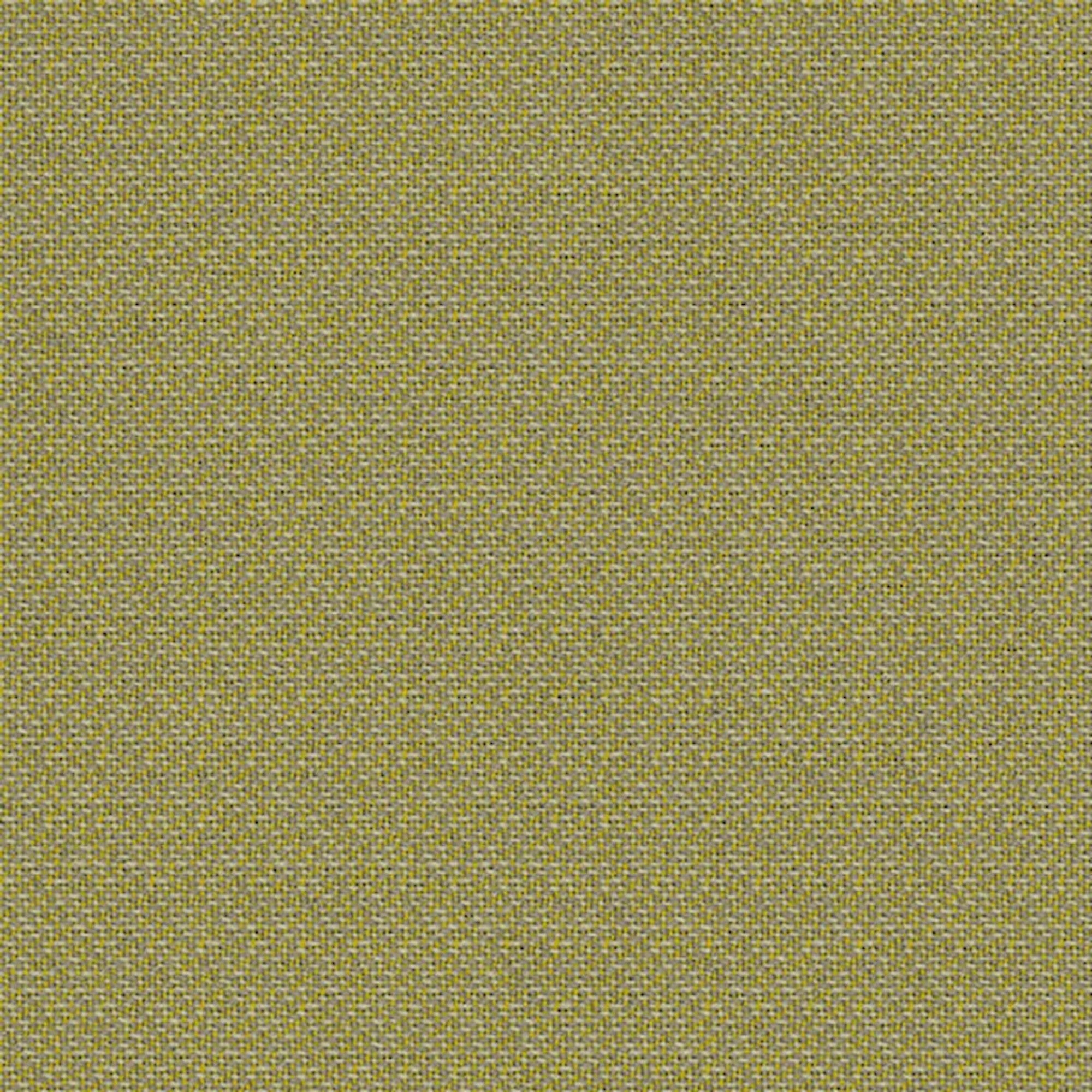 6533