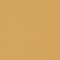Buckskin