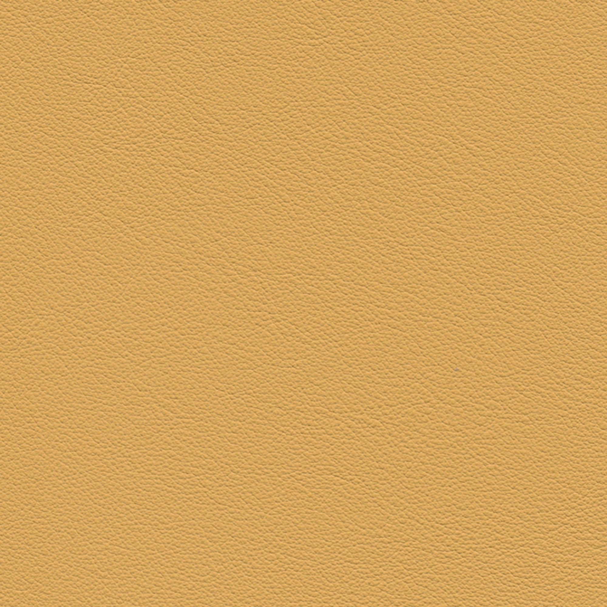 Buckskin
