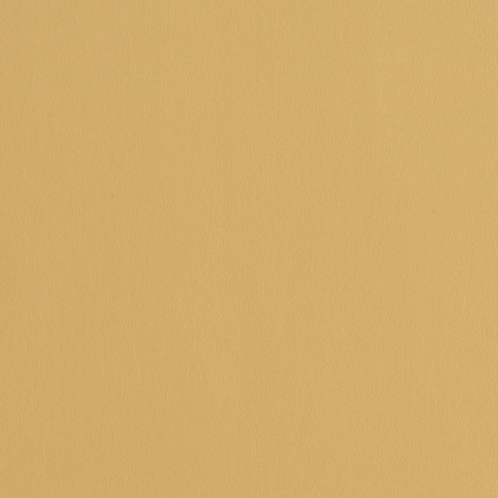 Plantain