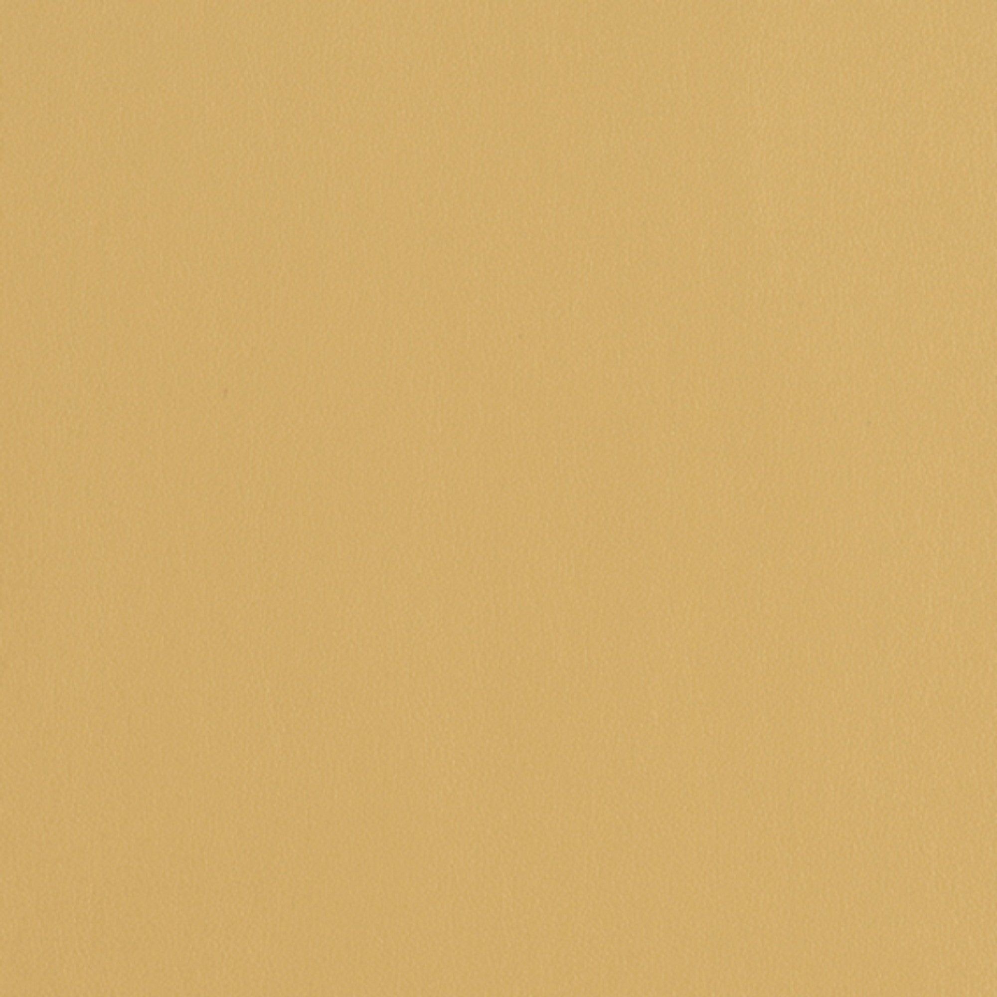 Plantain