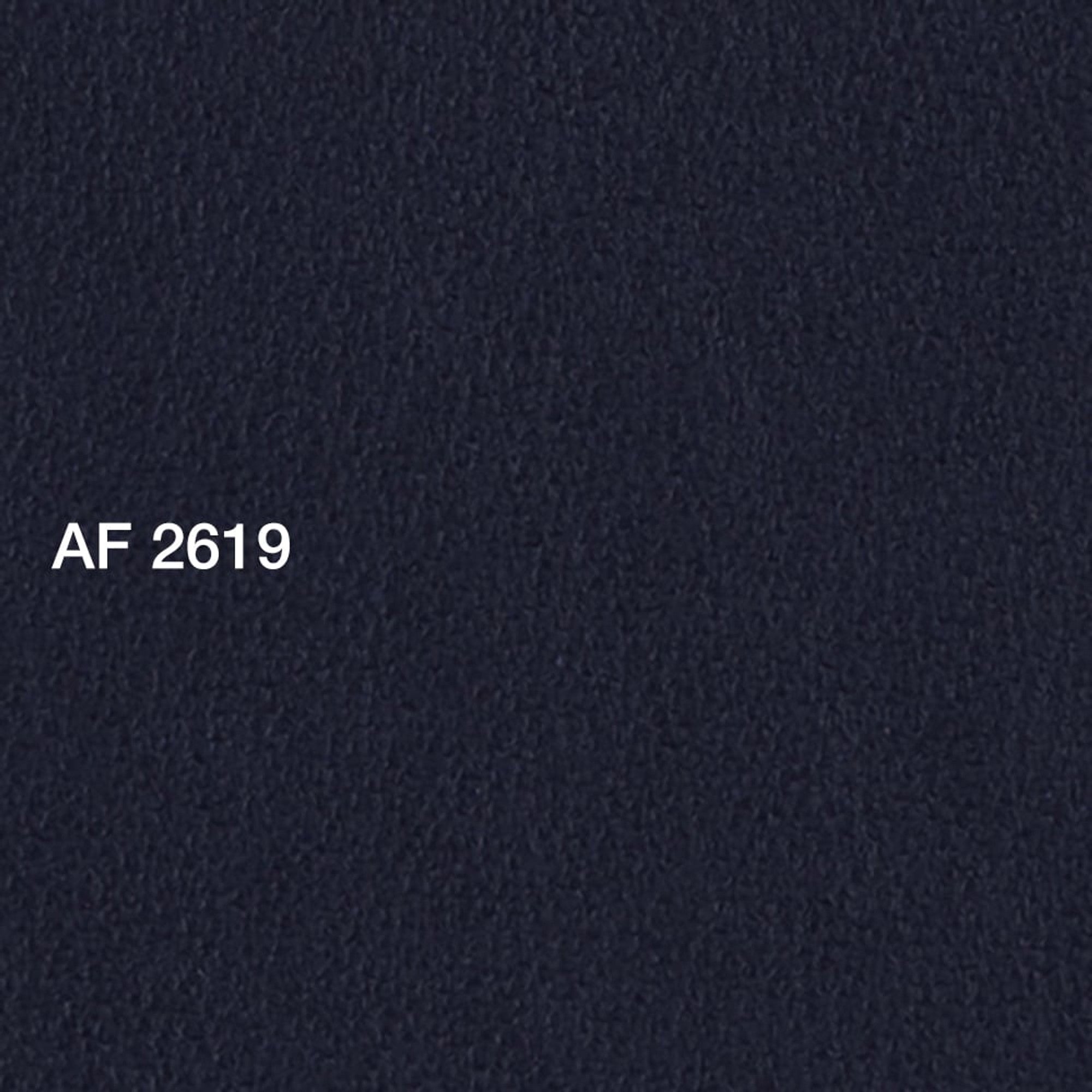 AF 2619 Cesarano