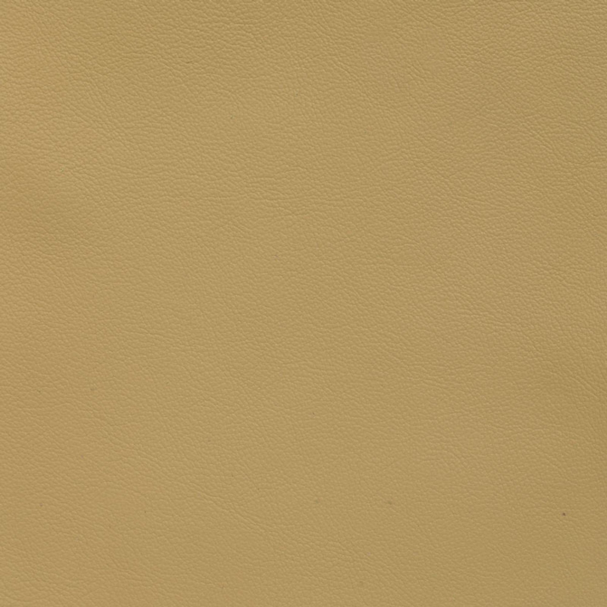 Balsa