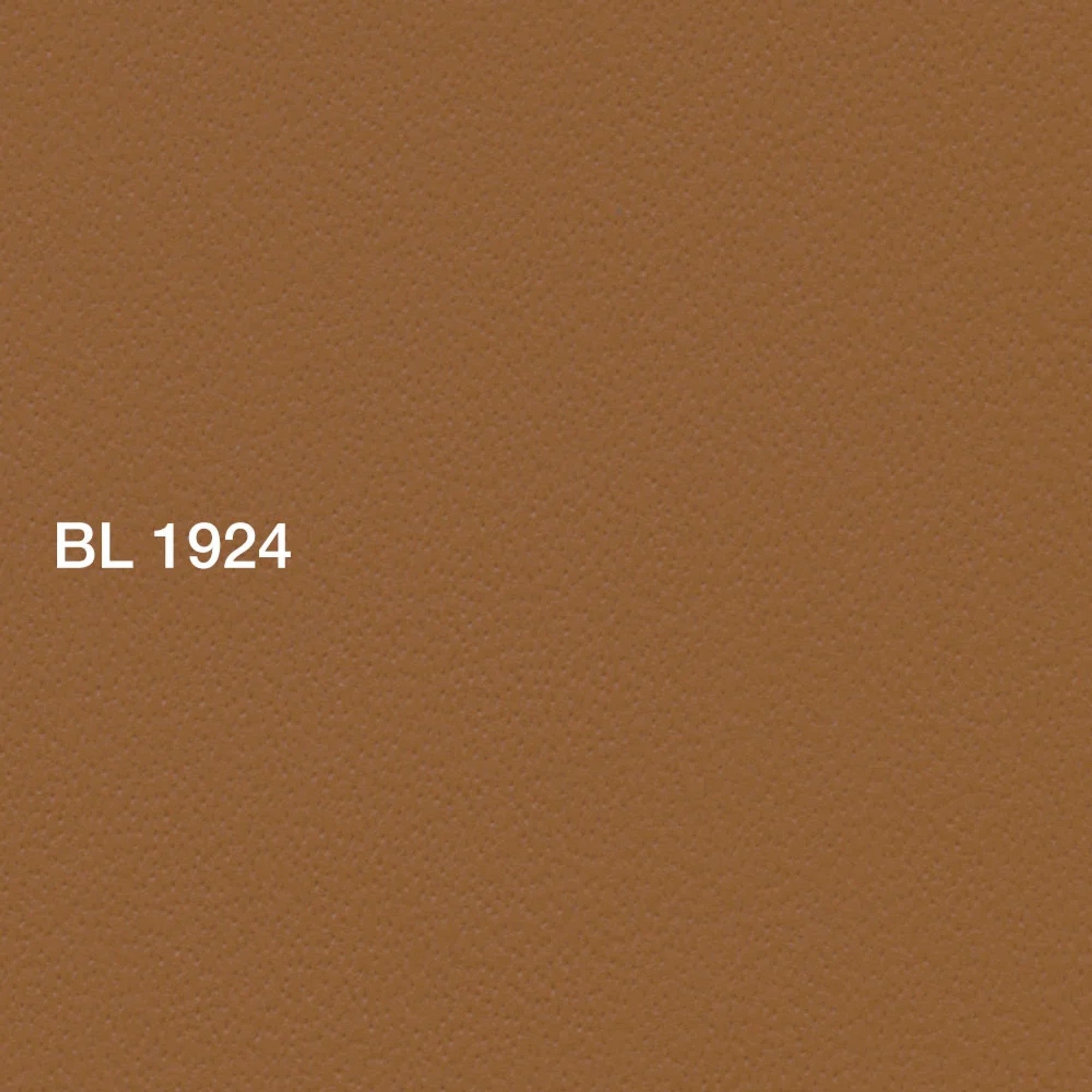 Warm Beige
