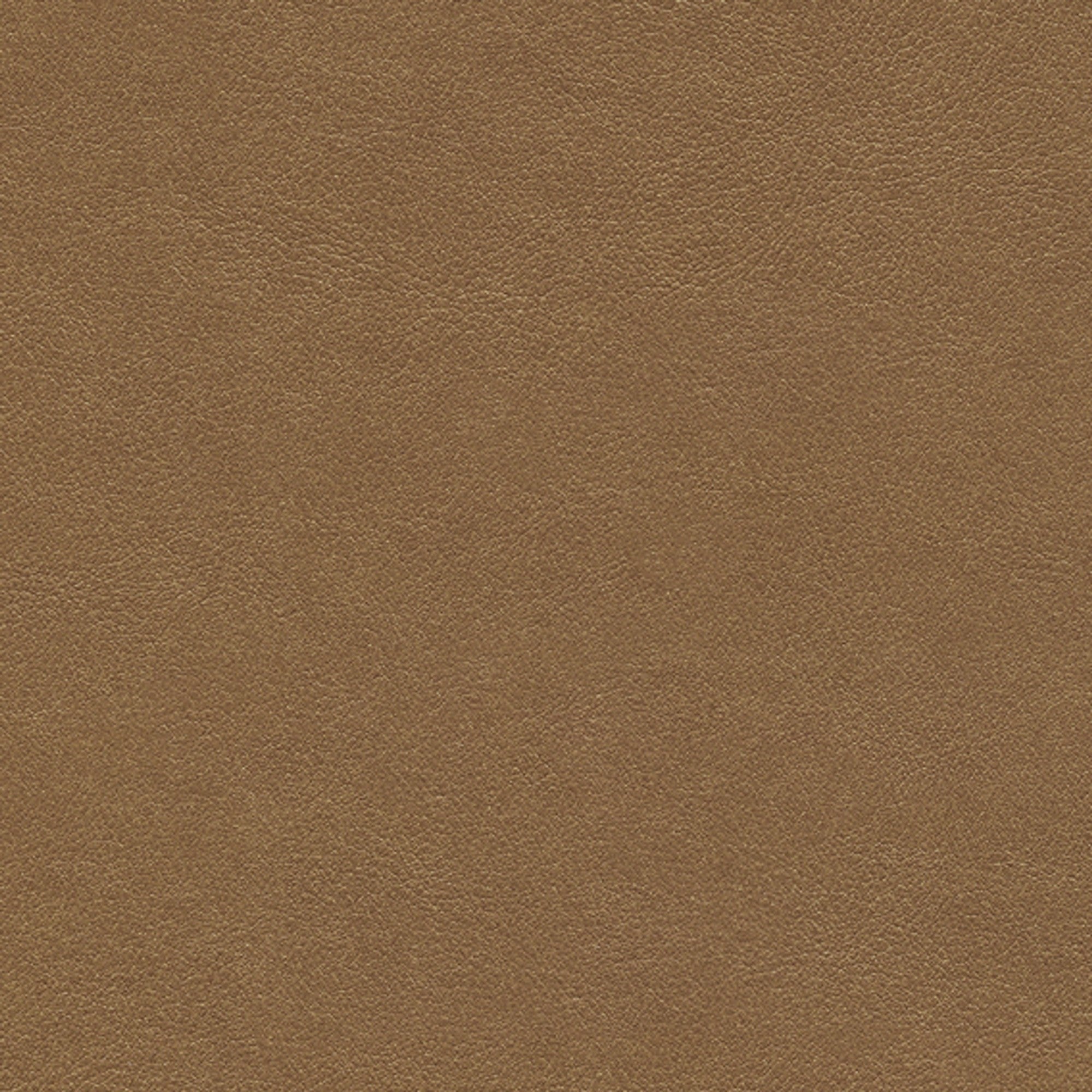 Amaretto