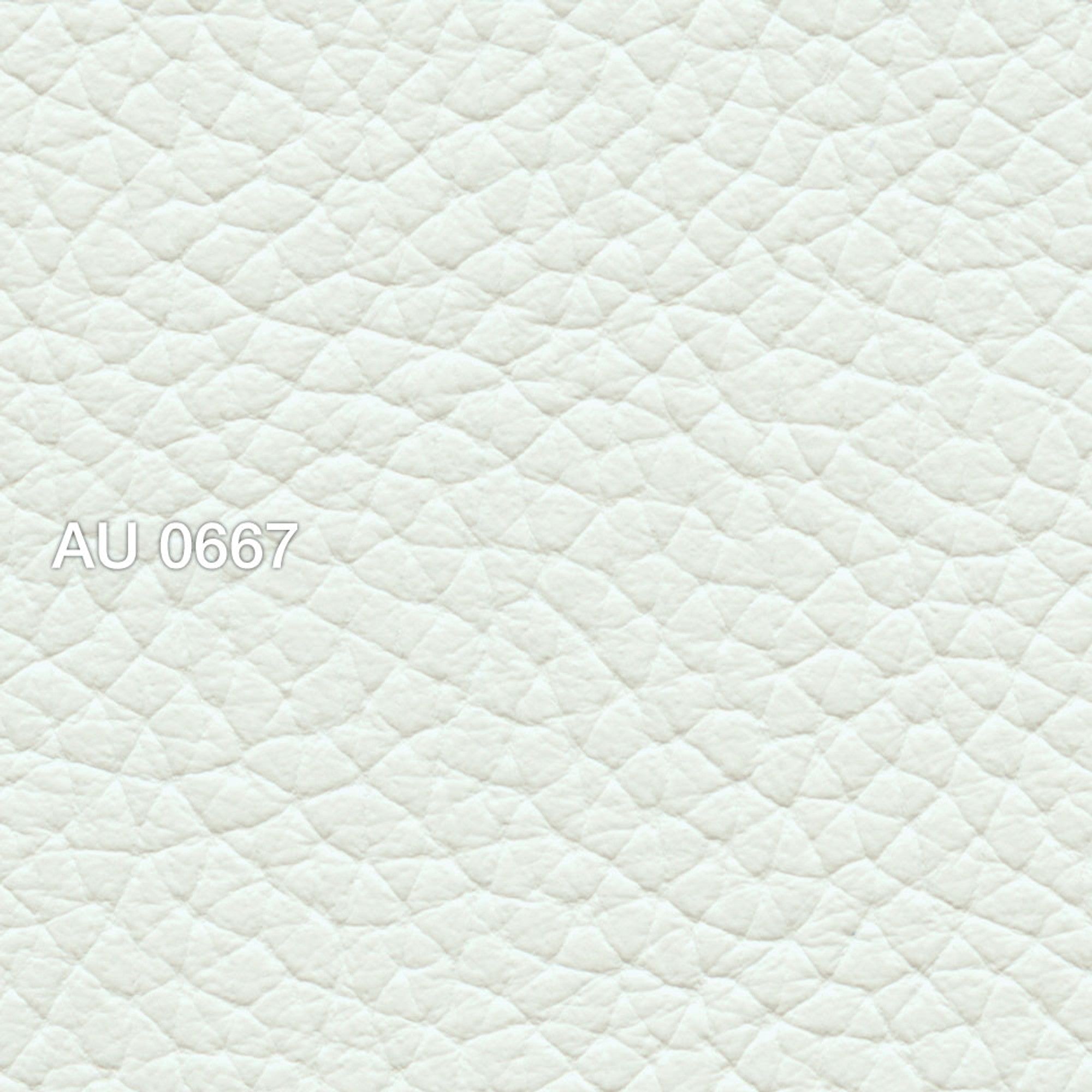 AU 0667 Bering Sea