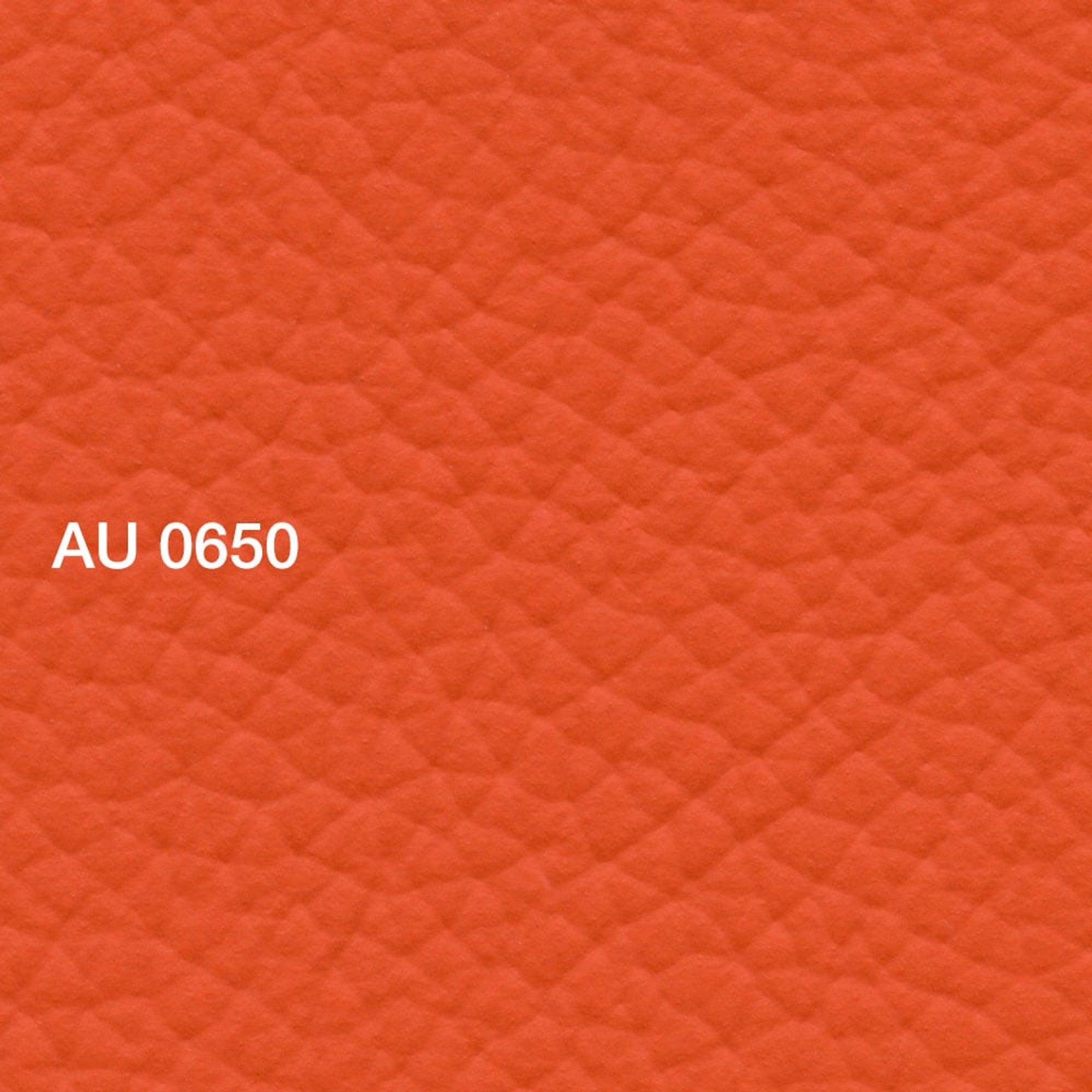 AU 0650 Tyger