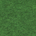 resized