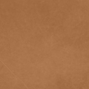 camel colour