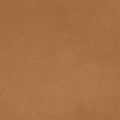 camel colour