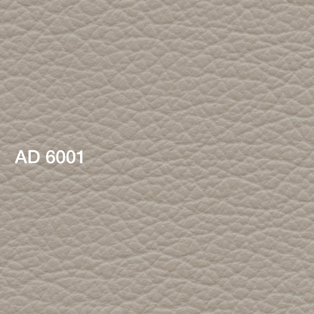 AD 6001 Inca