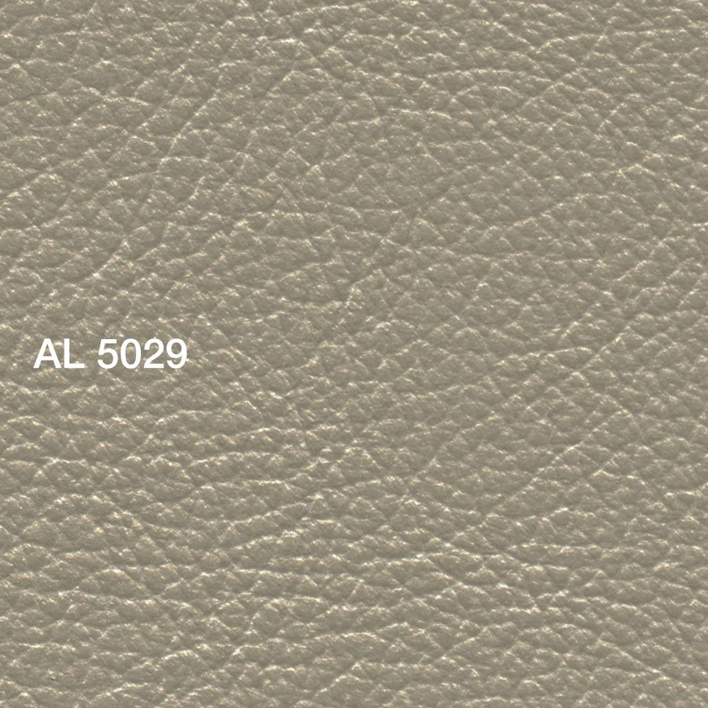 AL 5029 Steelhead