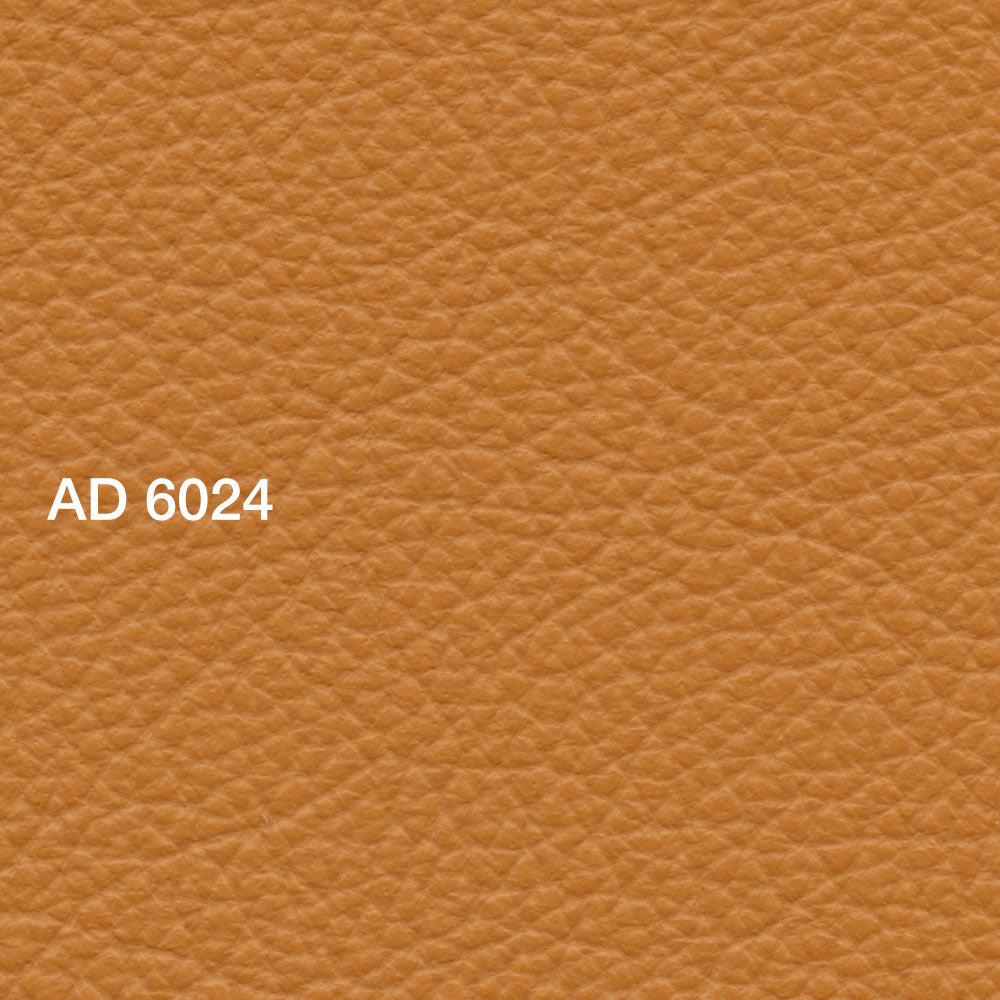 AD 6024 Latino