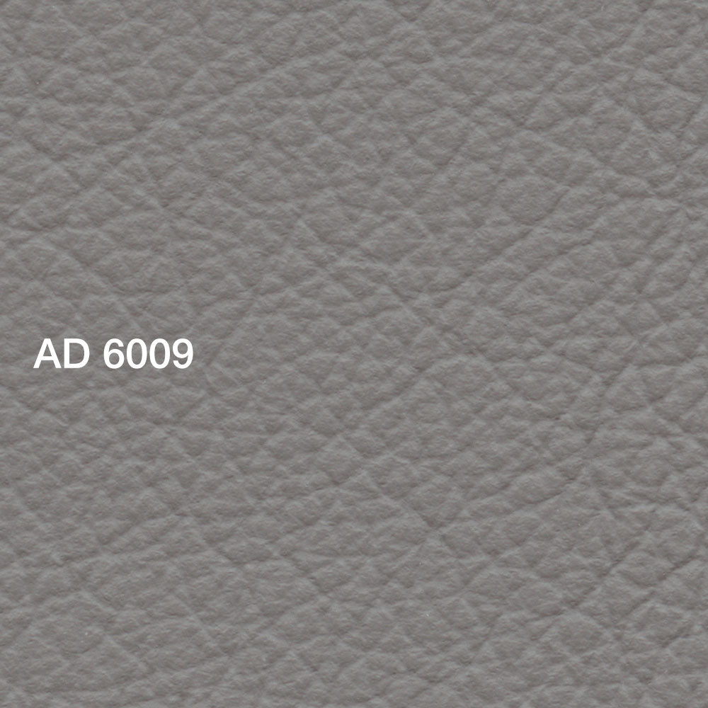 AD 6009 Vicuna
