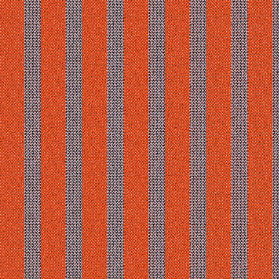 3216
