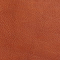 Saddlebag